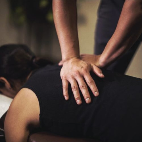 Spine body atelier